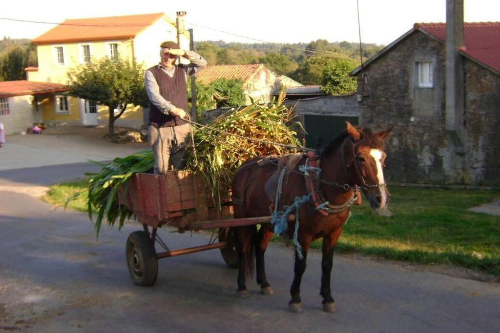 Stone Cottage Santiago Curtis Εξωτερικό φωτογραφία